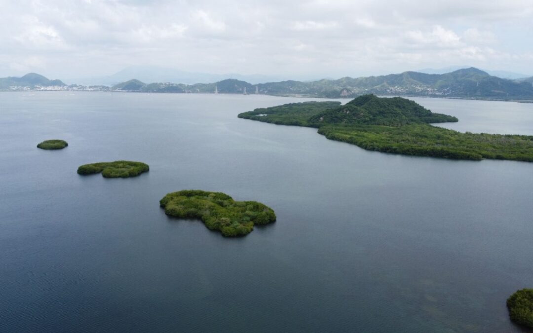 VASOS 3 Y 4 DE LA LAGUNA DE CUYUTLÁN SON PRIORIDAD PARA LA CONSERVACIÓN EN COLIMA