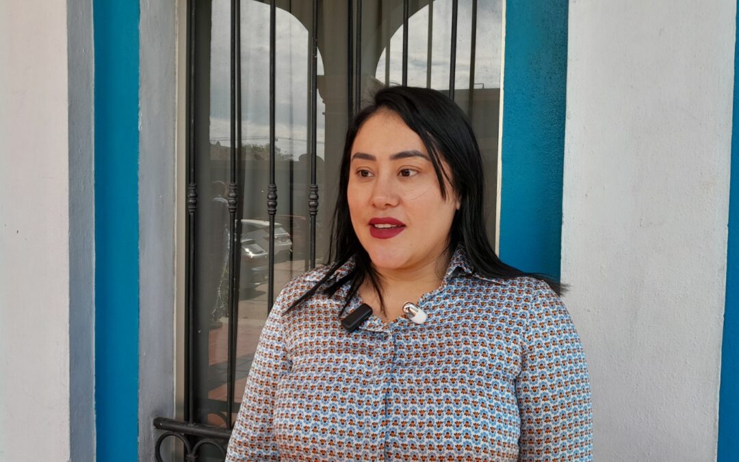 FESTIVAL DE LA SAL SERÁ DEL 7 AL 9 DE FEBRERO EN EL JARDÍN PRINCIPAL DE VILLA DE ÁLVAREZ: MARIELA SALAS TORRES