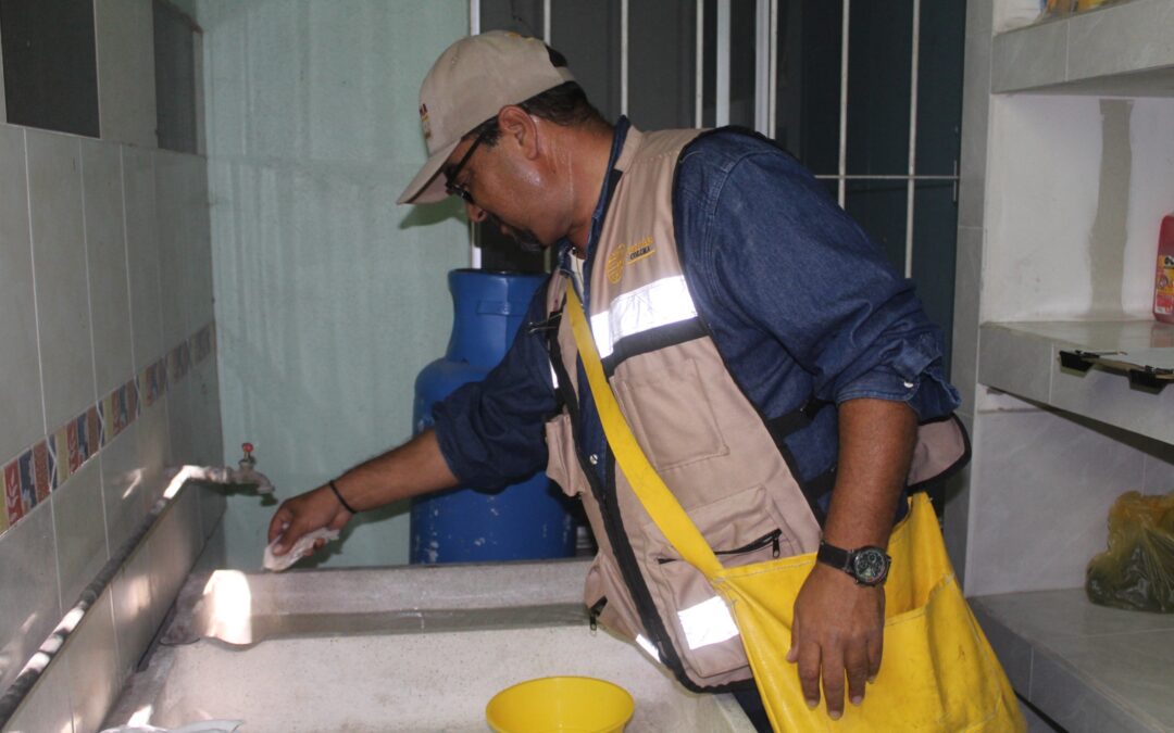 MANTIENEN ESTRATEGIA CONTRA CRIADEROS DE MOSCOS DEL DENGUE EN 6 MUNICIPIOS