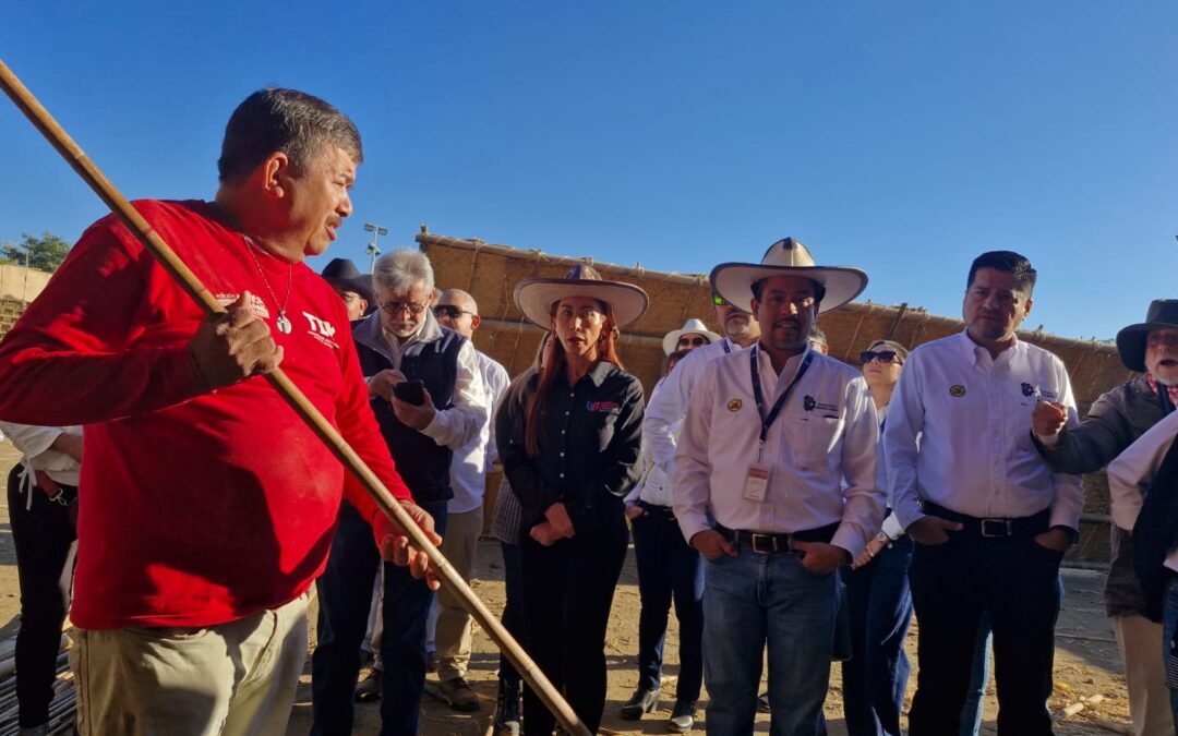 DESTACA TEC DE COLIMA IMPORTANCIA DE ARQUITECTURA DE LA PETATERA CON DESARROLLO ESTUDIANTIL