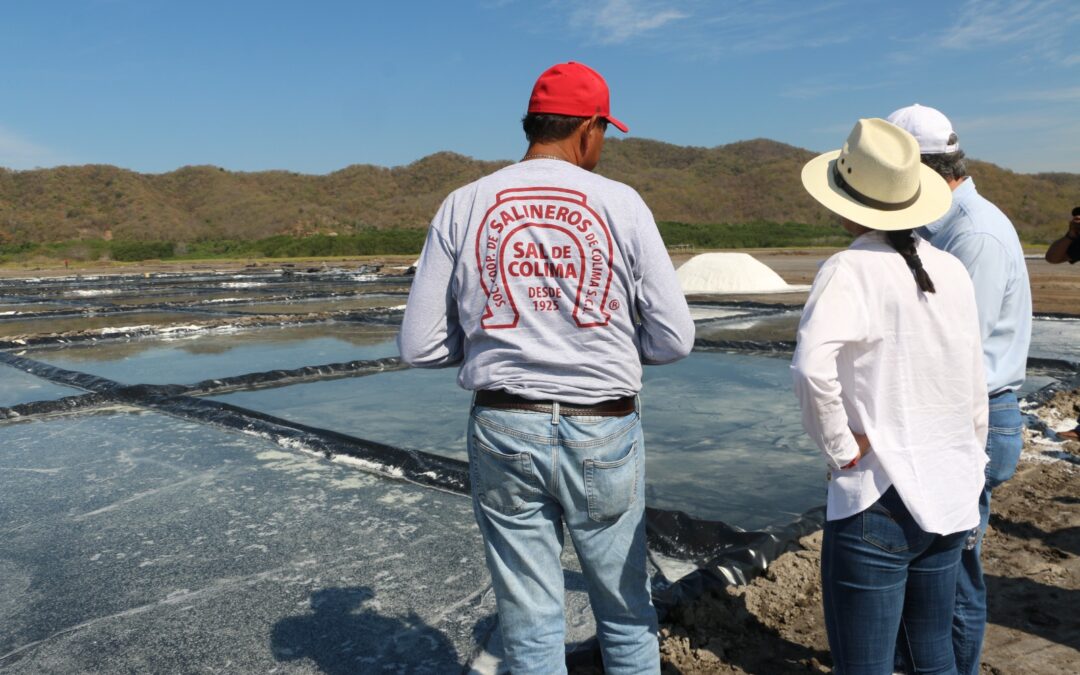 UDEC FORTALECE COLABORACIÓN PARA CREAR UNA MARCA DE CERTIFICACIÓN DE SAL