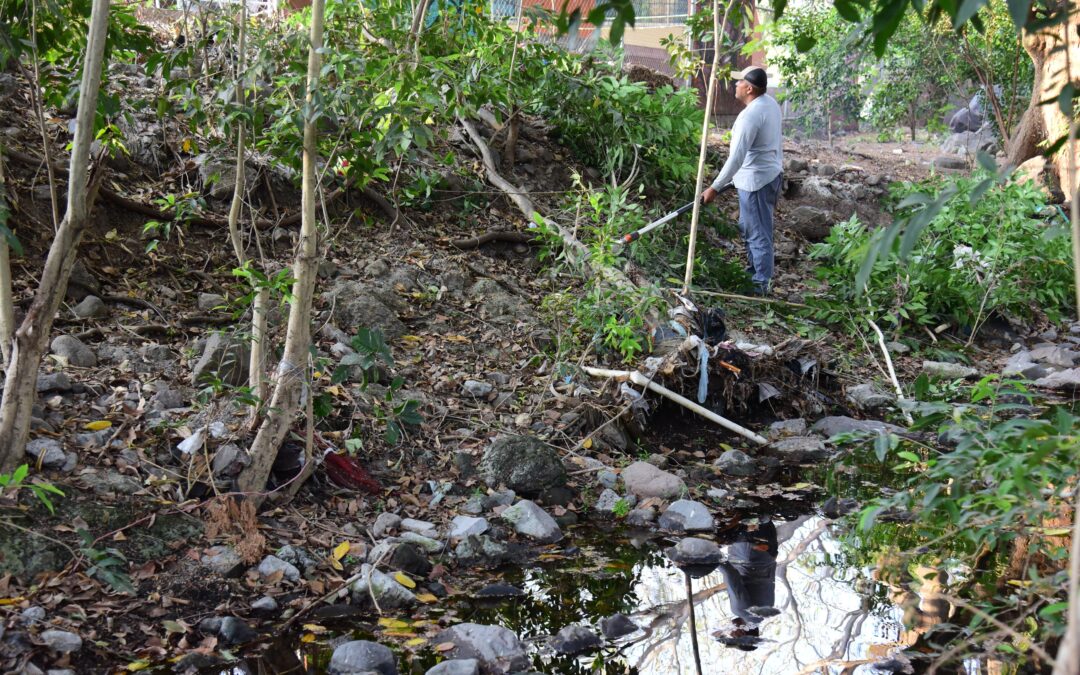 ESTÁ TRABAJANDO EL AYUNTAMIENTO DE COLIMA EN ACCIONES PREVENTIVAS INUNDACIONES EN TEMPORADA DE LLUVIAS: RIULT RIVERA
