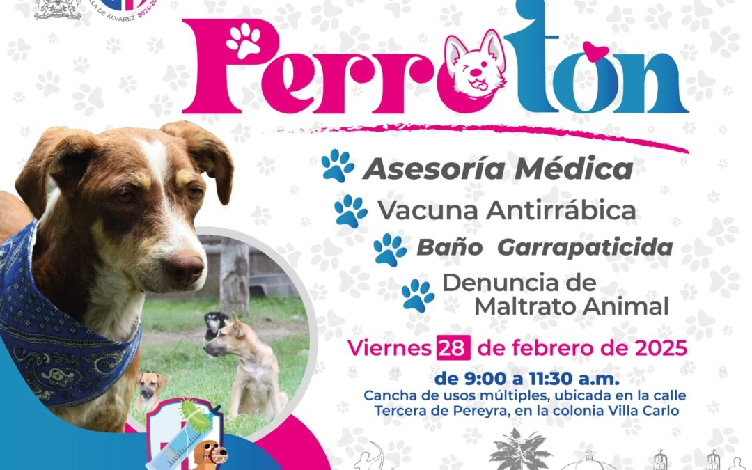 EN VILLA DE ÁLVAREZ, EL “PERROTÓN” ESTARÁ EN COLONIA VILLA CARLO