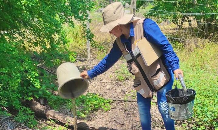 SALUD COLIMA SIGUE COMBATIENDO EL DENGUE CON EL CONTROL LARVARIO EN LOS 5 MUNICIPIOS DE RIESGO