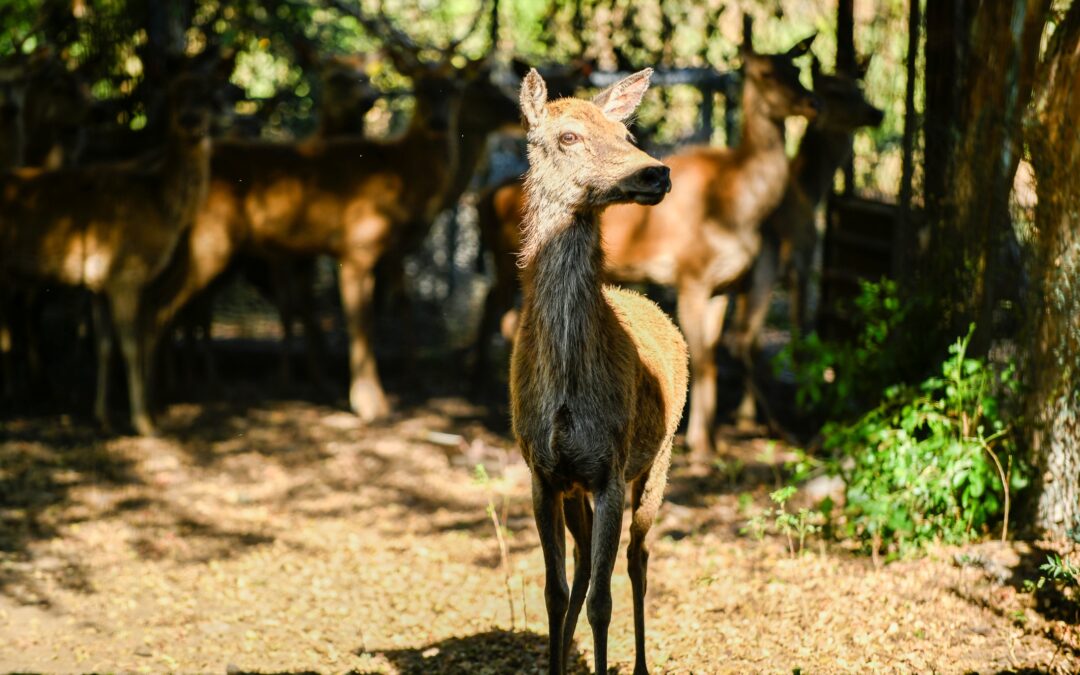 INAUGURAN SEGUNDA EDICIÓN DEL PROGRAMA DE PRÁCTICAS AMBIENTALES PARA BACHILLERES