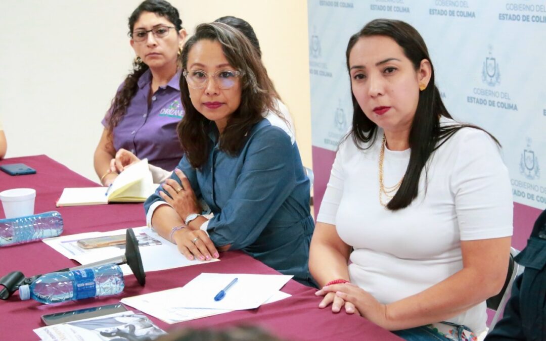 ICM PRESENTA CARTILLA DE DERECHOS Y EXPLICA PROTOCOLO DE ABORTO SEGURO A FEMINISTAS