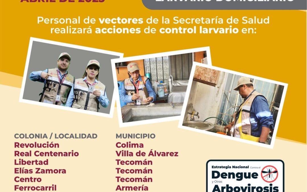 CONTINÚA SALUD CON ESTRATEGIA DE ELIMINAR CRIADEROS DE MOSCO DEL DENGUE