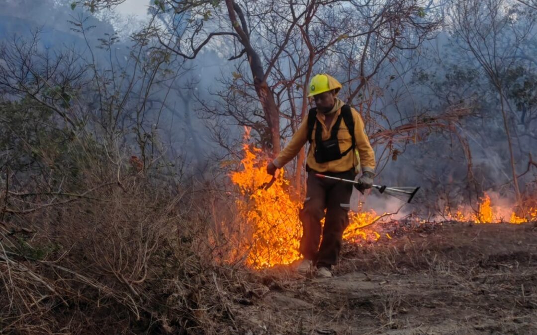 IMADES COLIMA LLAMA A PREVENIR INCENDIOS FORESTALES EN SEMANA SANTA Y PASCUA