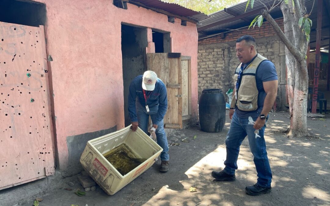 HARÁ SALUD CONTROL LARVARIO EN 5 MUNICIPIOS POR NIVEL ALTO DE MOSCO