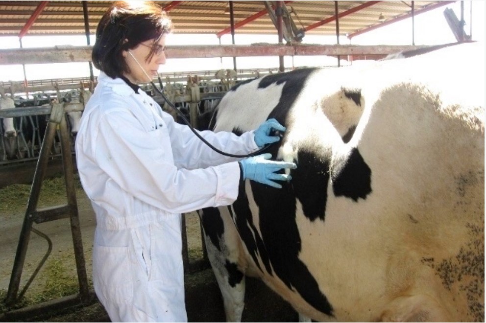 APRENDEN ESTUDIANTES DE LA UDEC SOBRE CIENCIA, INNOVACIÓN Y NEGOCIOS EN PRODUCCIÓN LECHERA