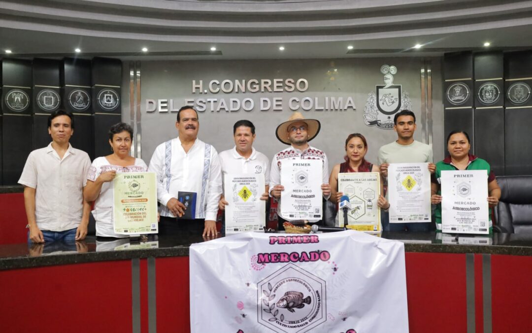 CELEBRARÁN DÍA MUNDIAL DE LA ABEJA CON MERCADO AGROECOLÓGICO EN ARMERÍA