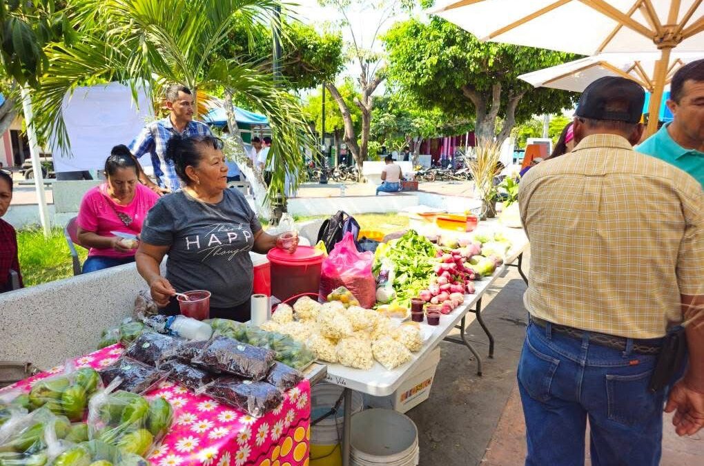 SE REALIZÓ EL MERCADO AGROECOLÓGICO POR EL DÍA MUNDIAL DE LA ABEJA