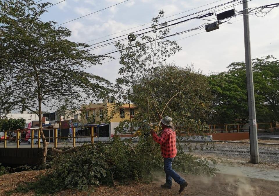 GOBIERNO DE RIULT RIVERA AVANZA CON LA LIMPIEZA Y PODA DE JARDINES: INTERVENCIÓN EN BOSQUES DEL SUR
