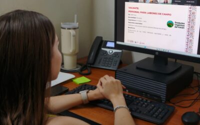 IMPULSA SUBSETRABAJO EMPLEO FORMAL CON EXPO VIRTUAL, 119 VACANTES