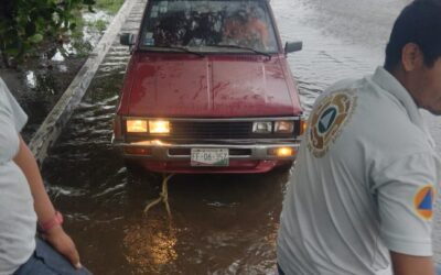 DOS VEHÍCULOS VARADOS Y UN ÁRBOL CAÍDO, SALDO DE LA LLUVIA EN VDEA