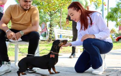 CONTINÚA TEY EL PROGRAMA «VETERINARIO EN TÚ COLONIA»