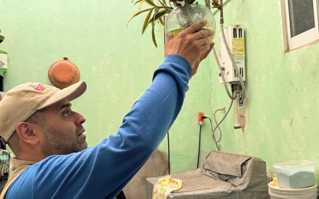 AUMENTA SALUD COLIMA ACCIONES CONTRA DENGUE, POR REPUNTE EN OVITRAMPAS