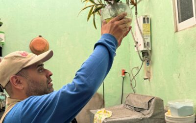 AUMENTA SALUD COLIMA ACCIONES CONTRA DENGUE, POR REPUNTE EN OVITRAMPAS