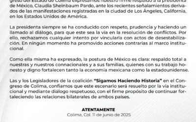 DIPUTADAS Y DIPUTADOS «SIGAMOS HACIENDO HISTORIA»