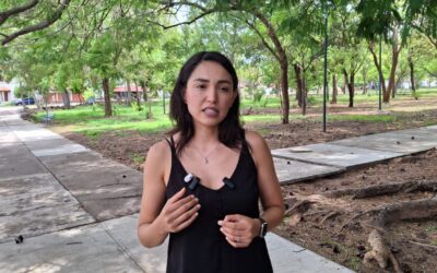 DONALD TRUMP VIENE MÁS AGRESIVO, IMPUESTOS A REMESAS VIOLA TRATADOS INTERNACIONALES: ROMELIA SERRANO