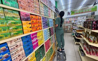 COLIMA, ENTRE LOS PRIMEROS LUGARES EN GENERACIÓN DE EMPLEO FORMAL Y MEJORA DEL MERCADO LABORAL