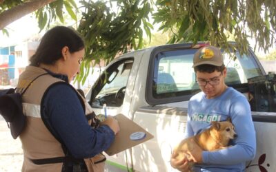 SECRETARÍA DE SALUD: VACUNACIÓN ANTIRRÁBICA ES PERMANENTE Y GRATUITA EN EL ESTADO DE COLIMA