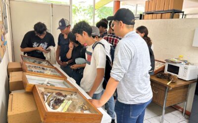 IMPULSA UDEC EN TECOMÁN LAS VOCACIONES CIENTÍFICAS