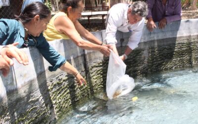 GOBIERNO DEL ESTADO DE COLIMA CONVOCA AL PREMIO AL MÉRITO AGROPECUARIO 2025