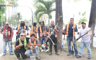 GOBIERNO DE RIULT RIVERA CONTINÚA EMBELLECIMIENTO DEL CAMELLÓN DE LA AVENIDA 20 DE NOVIEMBRE COMO PARTE DE LA CAMPAÑA “VERDE Y VIVO”