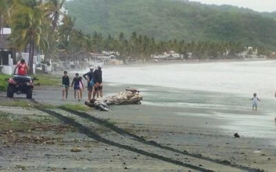 PROTECCIÓN CIVIL MANZANILLO REFUERZA MEDIDAS PREVENTIVAS EN ZONAS DE PLAYA POR HURACÁN FLOSSIE
