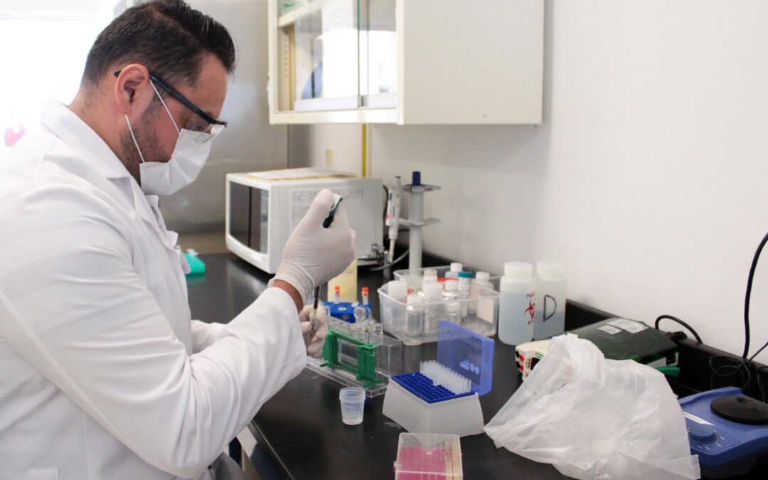 SALUD COLIMA PREVIENE: BRUCELOSIS TAMBIÉN PUEDE TRANSMITIRSE A SERES HUMANOS