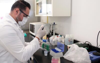 SALUD COLIMA PREVIENE: BRUCELOSIS TAMBIÉN PUEDE TRANSMITIRSE A SERES HUMANOS