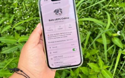 UEPC COLIMA COMPARTE RECOMENDACIONES Y ALERTAS VIALES A TRAVÉS DE SU CANAL DE DIFUSIÓN ‘BALTO’