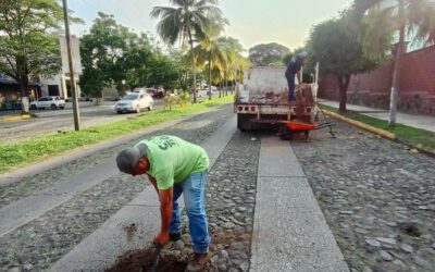 GOBIERNO DE RIULT RIVERA REALIZA TRABAJOS DE REPARACIÓN EN EL EMPEDRADO DE LA AVENIDA CONSTITUCIÓN