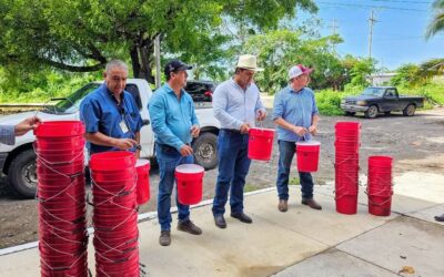 GOBIERNO DEL ESTADO DE COLIMA COADYUVA A CONTROL DE PLAGA PICUDO NEGRO DEL COCOTERO.