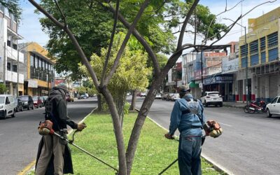 *CAMELLONES Y JARDINES LIMPIOS EN COLIMA: GOBIERNO DE RIULT RIVERA LIDERA JORNADA DE PODA Y LIMPIEZA*