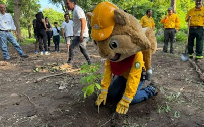 GOBIERNO DEL ESTADO REFORESTA 3 PARQUES DE LA ZONA METROPOLITANA COLIMA-VILLA DE ÁLVAREZ