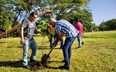 GOBIERNO DE RIULT RIVERA PONE EN MARCHA BRIGADA DE LIMPIEZA Y REFORESTACIÓN URBANA EN REAL VISTA HERMOSA