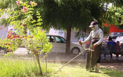 CONTINÚA GOBIERNO DE RIULT RIVERA CON LABORES DE MANTENIMIENTO EN PARQUES Y JARDINES DE LA CAPITAL