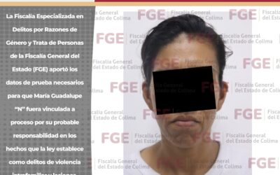 POR VIOLENCIA INTRAFAMILIAR Y LESIONES, VINCULAN A PROCESO A UNA MUJER
