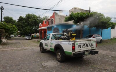 SALUD COLIMA FUMIGARÁ CONTRA EL MOSCO TRANSMISOR DEL DENGUE EN ZONAS PRIORITARIAS DE COLIMA, MANZANILLO Y VILLA DE ÁLVAREZ