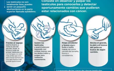 EXHORTA IMSS COLIMA A HOMBRES A PREVENIR CÁNCER TESTICULAR CON AUTOEXPLORACIÓN