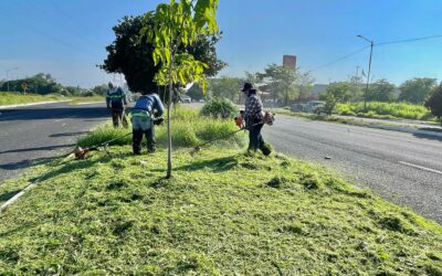 GOBIERNO DE RIULT RIVERA CONTINÚA LABORES DE LIMPIEZA, AHORA EN CAMELLONES DE TERCER ANILLO Y AV. CAMINO REAL