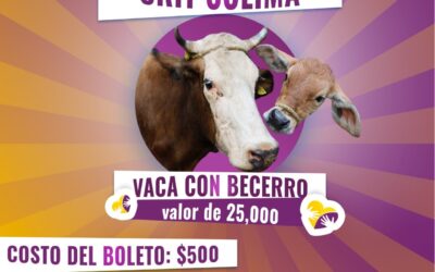 PROMUEVE ÁLVARO LOZANO RIFA CON CAUSA A FAVOR DEL CRIT DEL TELETÓN