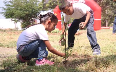 REALIZA COMUNA CAPITALINA REFORESTACIÓN EN LA AVENIDA NIÑOS HÉROES