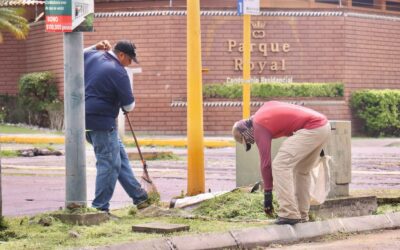 CONTINÚA SERVICIOS PÚBLICOS MUNICIPALES ATENDIENDO CAMELLONES Y ÁREAS VERDES DEL MUNICIPIO CAPITALINO