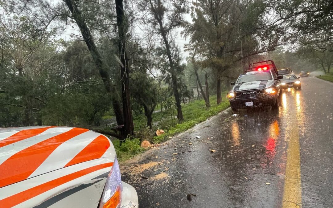 ALERTA UEPC POR LLUVIA, RAYOS, VIENTO Y CAÍDA DE ÁRBOLES EN VARIOS MUNICIPIOS DEL ESTADO DE COLIMA