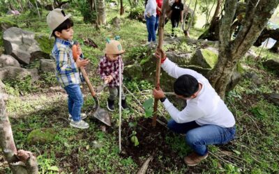 ATIENDEN 200 PERSONAS CONVOCATORIA DE DIPUTADO ÁLVARO LOZANO PARA REFORESTAR CARRIZALILLOS