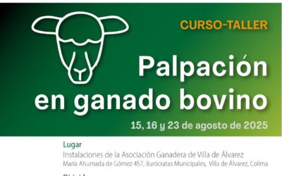 IMPARTIRÁN UDEC Y ASOCIACIÓN GANADERA DE VILLA DE ÁLVAREZ, CURSO DE PALPACIÓN EN GANADO BOVINO