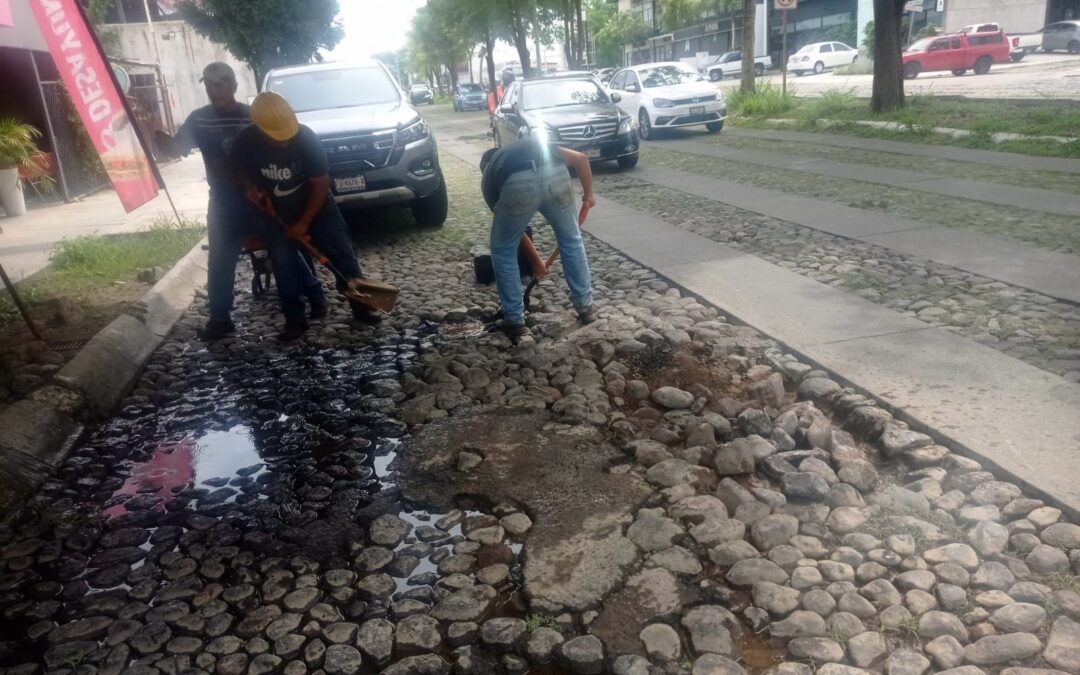 AYUNTAMIENTO DE COLIMA ATIENDE CON RAPIDEZ REPORTES DE BACHES